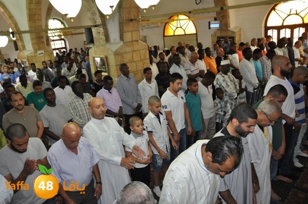 fter 7san bek9 (20).JPG